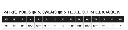 1150 - SIZE GUIDE.webp