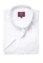 Tucson Classic Oxford Shirt